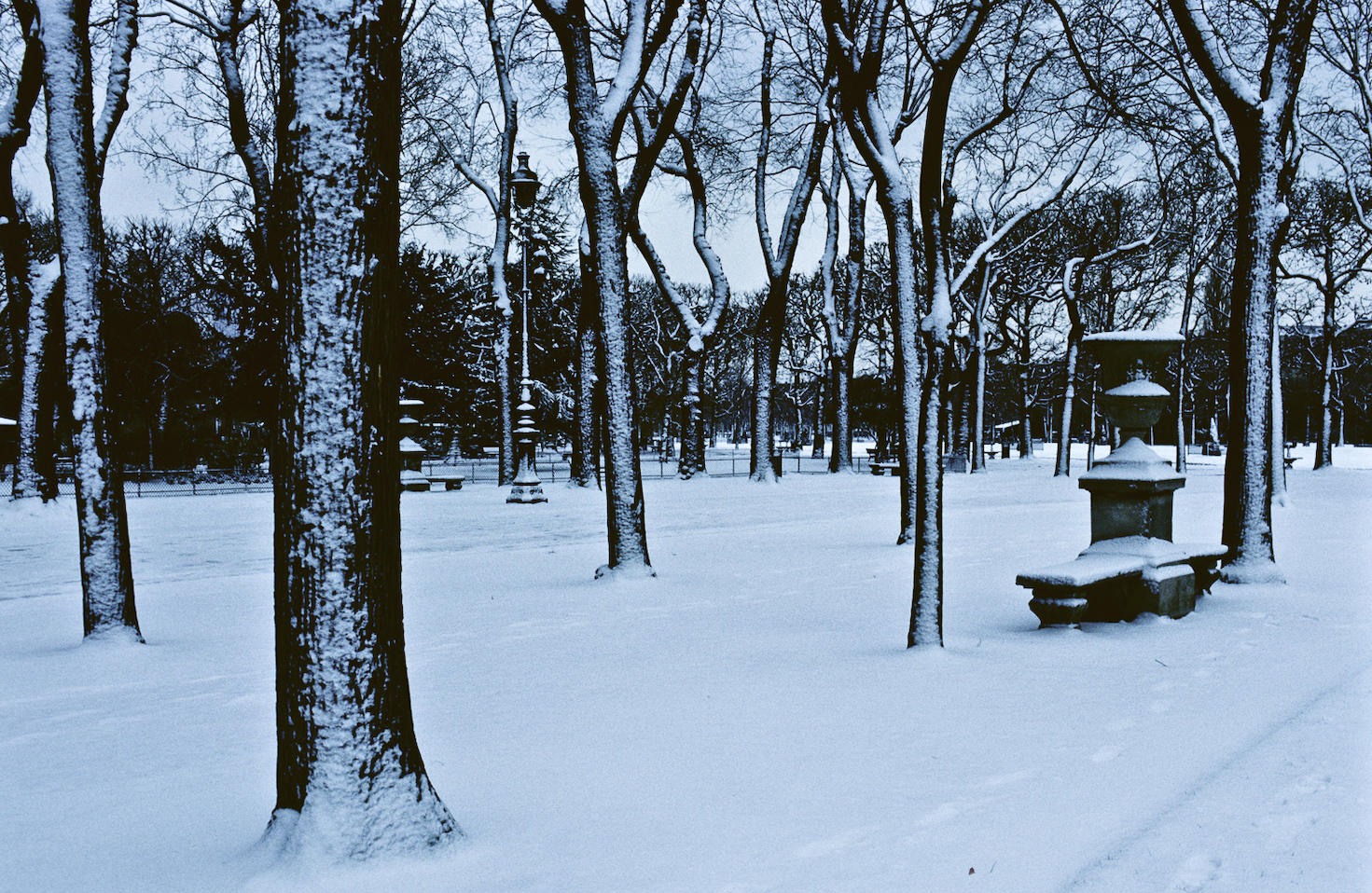 A wintery Parisian park covered in snow.