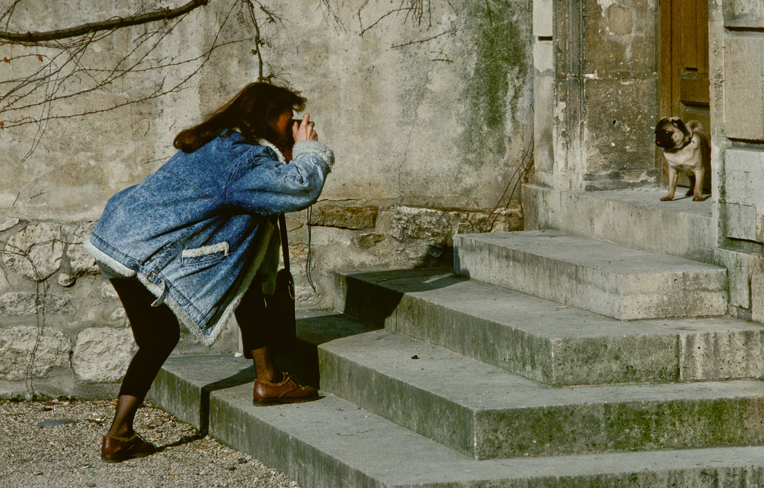 A woman taking a photo of a pug on the steps of an old church in Paris.