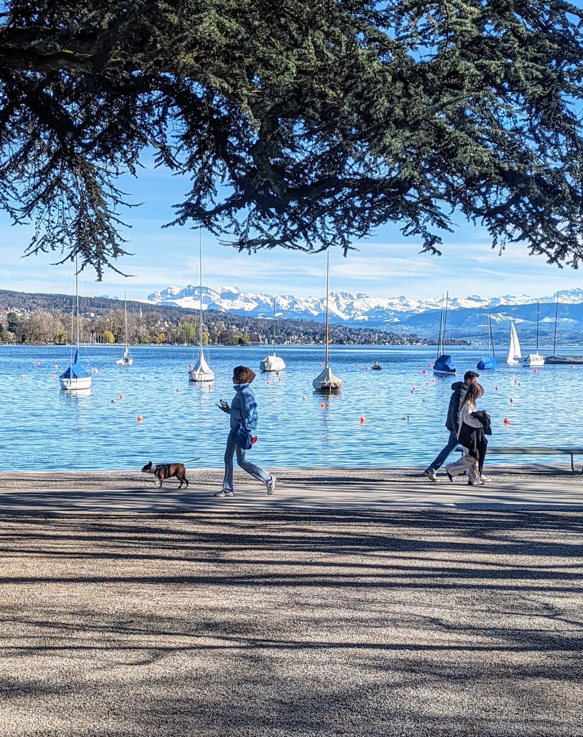 Woman with dog