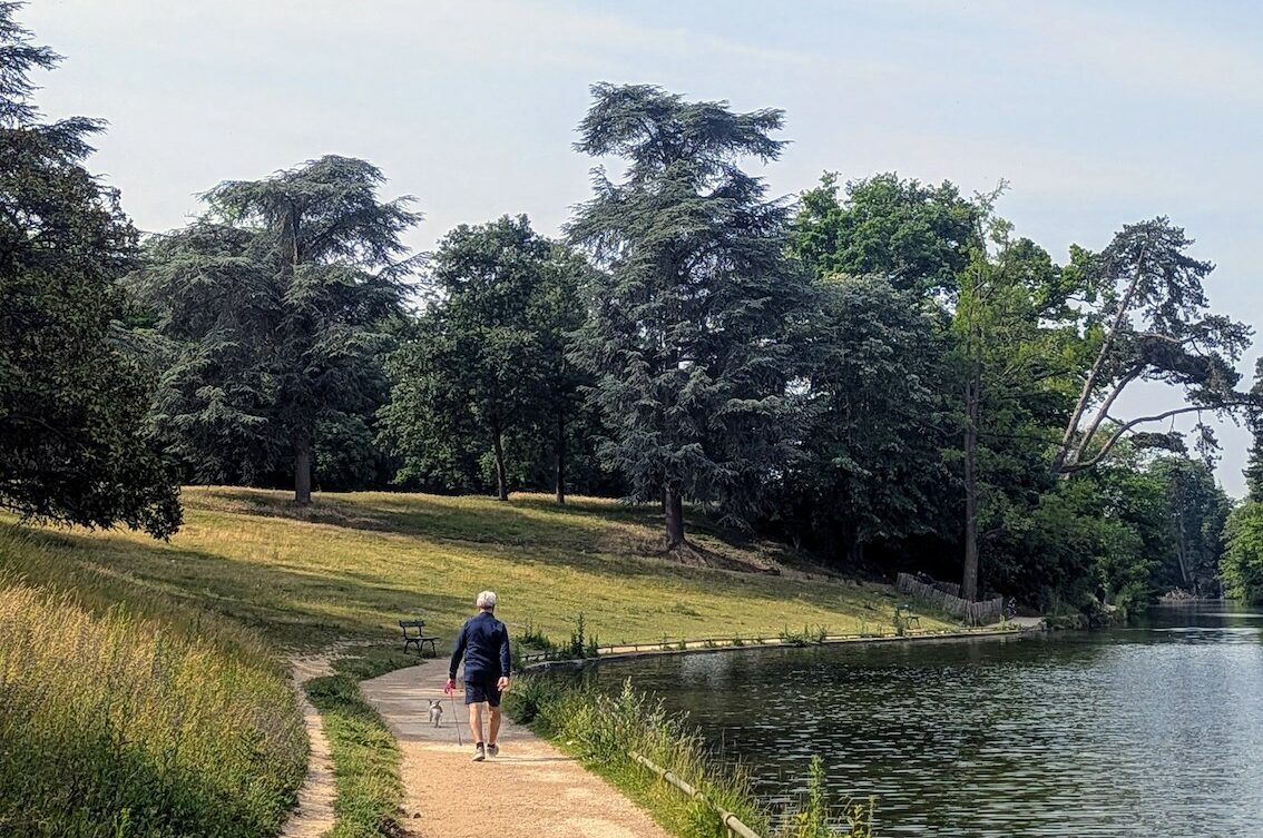 A grey-haired man walking his dog on part of the GR75 in the Bois de Boulogne.