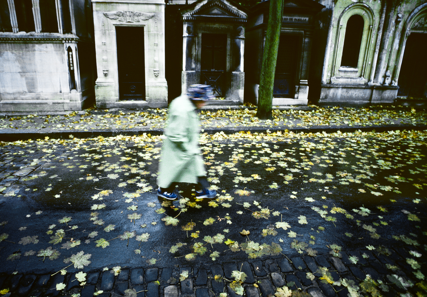 An old woman walking through the rain in a cemetery in Paris
